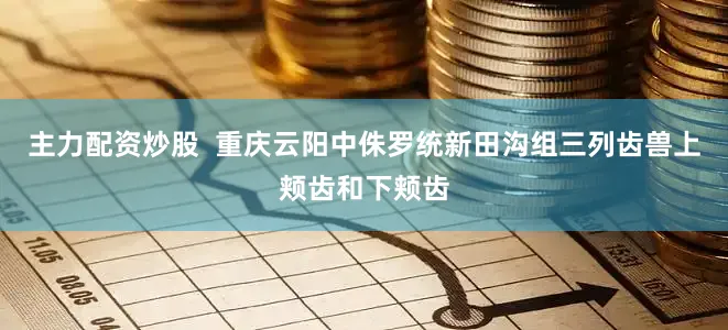 主力配资炒股  重庆云阳中侏罗统新田沟组三列齿兽上颊齿和下颊齿