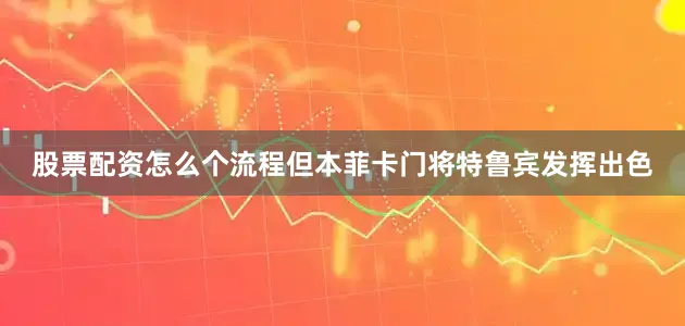股票配资怎么个流程但本菲卡门将特鲁宾发挥出色