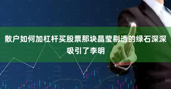 散户如何加杠杆买股票那块晶莹剔透的绿石深深吸引了李明